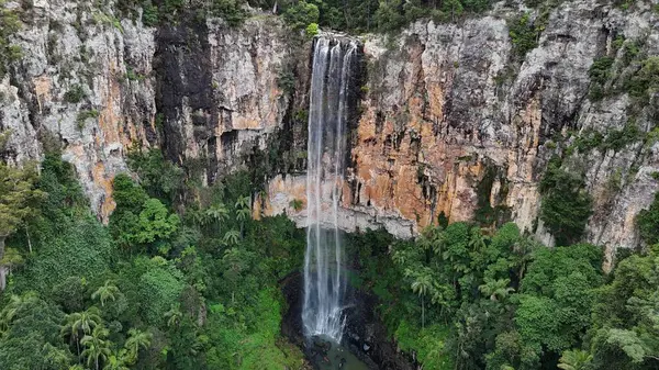 Purling Brook Falls, Springbrook Ulusal Parkı, Queensland, Avustralya, aşağı doğru çağlayan bir şelale, gelişen yeşil ormanlar ve engebeli, doğal kayalık arazi içine yerleşmiş. Yumuşak sis ve canlı çevre doğanın dinginliğini vurgular.