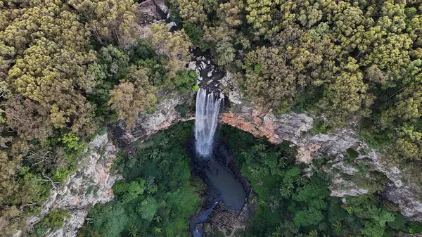 Purling Brook Falls, Springbrook Ulusal Parkı, Queensland, Avustralya, aşağı doğru çağlayan bir şelale, gelişen yeşil ormanlar ve engebeli, doğal kayalık arazi içine yerleşmiş. Yumuşak sis ve canlı çevre doğanın dinginliğini vurgular.