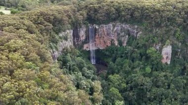 Purling Brook Falls, Springbrook Ulusal Parkı, Queensland, Avustralya, çağlayan çağlayanlar, gelişen yeşil ormanlar ve engebeli, doğal kayalık araziler. Yumuşak sis ve canlı çevre doğanın dinginliğini vurgular