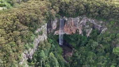 Purling Brook Falls, Springbrook Ulusal Parkı, Queensland, Avustralya, çağlayan çağlayanlar, gelişen yeşil ormanlar ve engebeli, doğal kayalık araziler. Yumuşak sis ve canlı çevre doğanın dinginliğini vurgular