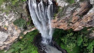 Purling Brook Falls, Springbrook Ulusal Parkı, Queensland, Avustralya, çağlayan çağlayanlar, gelişen yeşil ormanlar ve engebeli, doğal kayalık araziler. Yumuşak sis ve canlı çevre doğanın dinginliğini vurgular