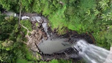 Purling Brook Falls, Springbrook Ulusal Parkı, Queensland, Avustralya, çağlayan çağlayanlar, gelişen yeşil ormanlar ve engebeli, doğal kayalık araziler. Yumuşak sis ve canlı çevre doğanın dinginliğini vurgular