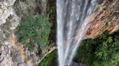 Purling Brook Falls, Springbrook Ulusal Parkı, Queensland, Avustralya, çağlayan çağlayanlar, gelişen yeşil ormanlar ve engebeli, doğal kayalık araziler. Yumuşak sis ve canlı çevre doğanın dinginliğini vurgular