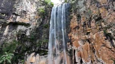 Purling Brook Falls, Springbrook Ulusal Parkı, Queensland, Avustralya, çağlayan çağlayanlar, gelişen yeşil ormanlar ve engebeli, doğal kayalık araziler. Yumuşak sis ve canlı çevre doğanın dinginliğini vurgular