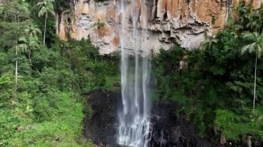 Purling Brook Falls, Springbrook Ulusal Parkı, Queensland, Avustralya, çağlayan çağlayanlar, gelişen yeşil ormanlar ve engebeli, doğal kayalık araziler. Yumuşak sis ve canlı çevre doğanın dinginliğini vurgular
