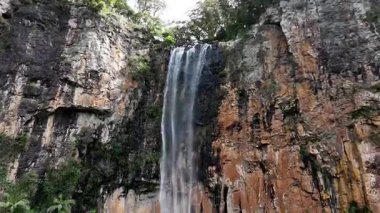 Purling Brook Falls, Springbrook Ulusal Parkı, Queensland, Avustralya, çağlayan çağlayanlar, gelişen yeşil ormanlar ve engebeli, doğal kayalık araziler. Yumuşak sis ve canlı çevre doğanın dinginliğini vurgular