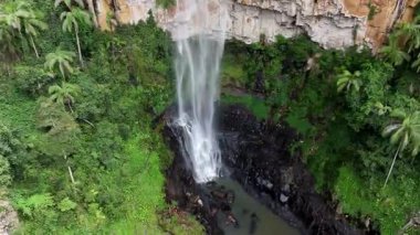 Purling Brook Falls, Springbrook Ulusal Parkı, Queensland, Avustralya, çağlayan çağlayanlar, gelişen yeşil ormanlar ve engebeli, doğal kayalık araziler. Yumuşak sis ve canlı çevre doğanın dinginliğini vurgular
