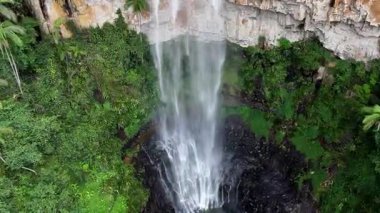 Purling Brook Falls, Springbrook Ulusal Parkı, Queensland, Avustralya, çağlayan çağlayanlar, gelişen yeşil ormanlar ve engebeli, doğal kayalık araziler. Yumuşak sis ve canlı çevre doğanın dinginliğini vurgular