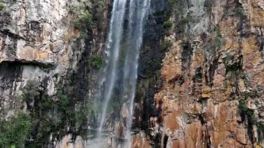 Purling Brook Falls, Springbrook Ulusal Parkı, Queensland, Avustralya, çağlayan çağlayanlar, gelişen yeşil ormanlar ve engebeli, doğal kayalık araziler. Yumuşak sis ve canlı çevre doğanın dinginliğini vurgular
