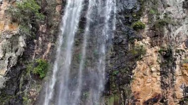 Purling Brook Falls, Springbrook Ulusal Parkı, Queensland, Avustralya, çağlayan çağlayanlar, gelişen yeşil ormanlar ve engebeli, doğal kayalık araziler. Yumuşak sis ve canlı çevre doğanın dinginliğini vurgular