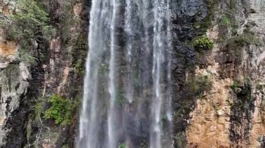 Purling Brook Falls, Springbrook Ulusal Parkı, Queensland, Avustralya, çağlayan çağlayanlar, gelişen yeşil ormanlar ve engebeli, doğal kayalık araziler. Yumuşak sis ve canlı çevre doğanın dinginliğini vurgular