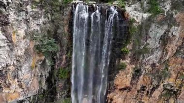 Purling Brook Falls, Springbrook Ulusal Parkı, Queensland, Avustralya, çağlayan çağlayanlar, gelişen yeşil ormanlar ve engebeli, doğal kayalık araziler. Yumuşak sis ve canlı çevre doğanın dinginliğini vurgular