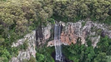 Purling Brook Falls, Springbrook Ulusal Parkı, Queensland, Avustralya, çağlayan çağlayanlar, gelişen yeşil ormanlar ve engebeli, doğal kayalık araziler. Yumuşak sis ve canlı çevre doğanın dinginliğini vurgular