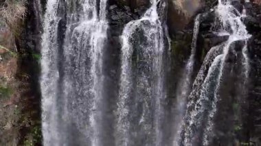 Purling Brook Falls, Springbrook Ulusal Parkı, Queensland, Avustralya, çağlayan çağlayanlar, gelişen yeşil ormanlar ve engebeli, doğal kayalık araziler. Yumuşak sis ve canlı çevre doğanın dinginliğini vurgular