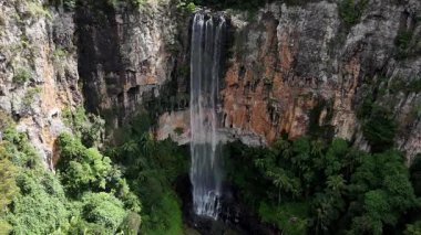 Purling Brook Falls, Springbrook Ulusal Parkı, Queensland, Avustralya, çağlayan çağlayanlar, gelişen yeşil ormanlar ve engebeli, doğal kayalık araziler. Yumuşak sis ve canlı çevre doğanın dinginliğini vurgular