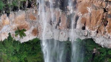 Purling Brook Falls, Springbrook Ulusal Parkı, Queensland, Avustralya, çağlayan çağlayanlar, gelişen yeşil ormanlar ve engebeli, doğal kayalık araziler. Yumuşak sis ve canlı çevre doğanın dinginliğini vurgular