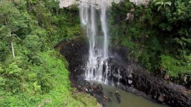 Purling Brook Falls, Springbrook Ulusal Parkı, Queensland, Avustralya, çağlayan çağlayanlar, gelişen yeşil ormanlar ve engebeli, doğal kayalık araziler. Yumuşak sis ve canlı çevre doğanın dinginliğini vurgular