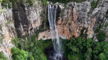 Purling Brook Falls, Springbrook Ulusal Parkı, Queensland, Avustralya, çağlayan çağlayanlar, gelişen yeşil ormanlar ve engebeli, doğal kayalık araziler. Yumuşak sis ve canlı çevre doğanın dinginliğini vurgular