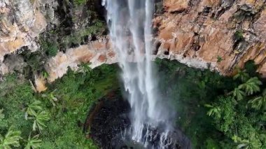 Purling Brook Falls, Springbrook Ulusal Parkı, Queensland, Avustralya, çağlayan çağlayanlar, gelişen yeşil ormanlar ve engebeli, doğal kayalık araziler. Yumuşak sis ve canlı çevre doğanın dinginliğini vurgular