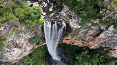 Purling Brook Falls, Springbrook Ulusal Parkı, Queensland, Avustralya, çağlayan çağlayanlar, gelişen yeşil ormanlar ve engebeli, doğal kayalık araziler. Yumuşak sis ve canlı çevre doğanın dinginliğini vurgular