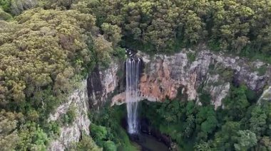 Purling Brook Falls, Springbrook Ulusal Parkı, Queensland, Avustralya, çağlayan çağlayanlar, gelişen yeşil ormanlar ve engebeli, doğal kayalık araziler. Yumuşak sis ve canlı çevre doğanın dinginliğini vurgular