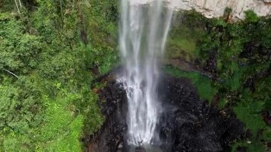 Purling Brook Falls, Springbrook Ulusal Parkı, Queensland, Avustralya, çağlayan çağlayanlar, gelişen yeşil ormanlar ve engebeli, doğal kayalık araziler. Yumuşak sis ve canlı çevre doğanın dinginliğini vurgular