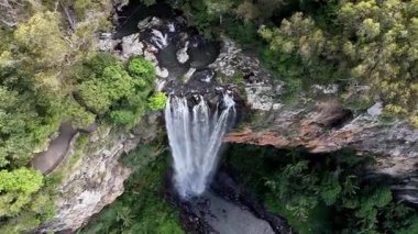 Purling Brook Falls, Springbrook Ulusal Parkı, Queensland, Avustralya, çağlayan çağlayanlar, gelişen yeşil ormanlar ve engebeli, doğal kayalık araziler. Yumuşak sis ve canlı çevre doğanın dinginliğini vurgular