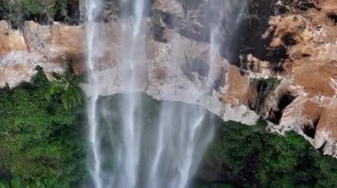 Purling Brook Falls, Springbrook Ulusal Parkı, Queensland, Avustralya, çağlayan çağlayanlar, gelişen yeşil ormanlar ve engebeli, doğal kayalık araziler. Yumuşak sis ve canlı çevre doğanın dinginliğini vurgular