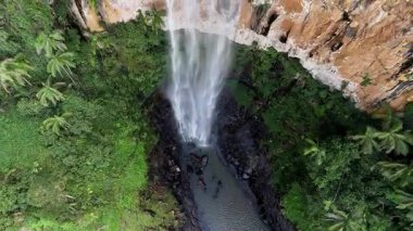 Purling Brook Falls, Springbrook Ulusal Parkı, Queensland, Avustralya, çağlayan çağlayanlar, gelişen yeşil ormanlar ve engebeli, doğal kayalık araziler. Yumuşak sis ve canlı çevre doğanın dinginliğini vurgular
