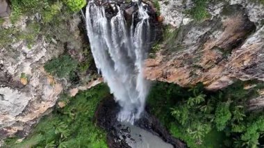 Purling Brook Falls, Springbrook Ulusal Parkı, Queensland, Avustralya, çağlayan çağlayanlar, gelişen yeşil ormanlar ve engebeli, doğal kayalık araziler. Yumuşak sis ve canlı çevre doğanın dinginliğini vurgular