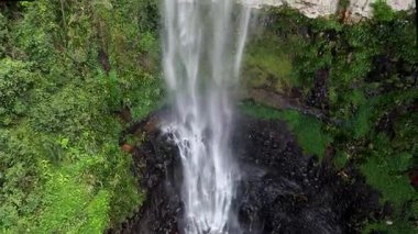 Purling Brook Falls, Springbrook Ulusal Parkı, Queensland, Avustralya, çağlayan çağlayanlar, gelişen yeşil ormanlar ve engebeli, doğal kayalık araziler. Yumuşak sis ve canlı çevre doğanın dinginliğini vurgular