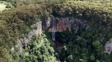 Purling Brook Falls, Springbrook Ulusal Parkı, Queensland, Avustralya, çağlayan çağlayanlar, gelişen yeşil ormanlar ve engebeli, doğal kayalık araziler. Yumuşak sis ve canlı çevre doğanın dinginliğini vurgular