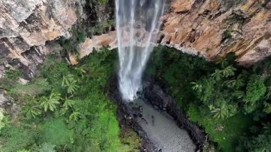 Purling Brook Falls, Springbrook Ulusal Parkı, Queensland, Avustralya, çağlayan çağlayanlar, gelişen yeşil ormanlar ve engebeli, doğal kayalık araziler. Yumuşak sis ve canlı çevre doğanın dinginliğini vurgular