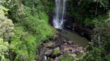 Purling Brook Falls, Springbrook Ulusal Parkı, Queensland, Avustralya, çağlayan çağlayanlar, gelişen yeşil ormanlar ve engebeli, doğal kayalık araziler. Yumuşak sis ve canlı çevre doğanın dinginliğini vurgular