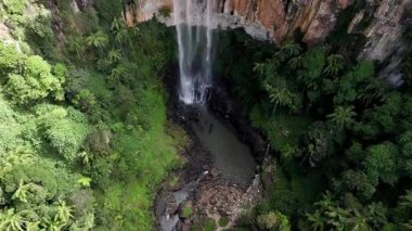 Purling Brook Falls, Springbrook Ulusal Parkı, Queensland, Avustralya, çağlayan çağlayanlar, gelişen yeşil ormanlar ve engebeli, doğal kayalık araziler. Yumuşak sis ve canlı çevre doğanın dinginliğini vurgular