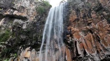 Purling Brook Falls, Springbrook Ulusal Parkı, Queensland, Avustralya, çağlayan çağlayanlar, gelişen yeşil ormanlar ve engebeli, doğal kayalık araziler. Yumuşak sis ve canlı çevre doğanın dinginliğini vurgular