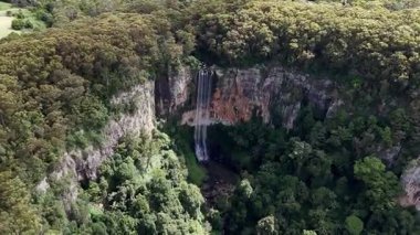 Purling Brook Falls, Springbrook Ulusal Parkı, Queensland, Avustralya, çağlayan çağlayanlar, gelişen yeşil ormanlar ve engebeli, doğal kayalık araziler. Yumuşak sis ve canlı çevre doğanın dinginliğini vurgular