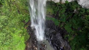 Purling Brook Falls, Springbrook Ulusal Parkı, Queensland, Avustralya, çağlayan çağlayanlar, gelişen yeşil ormanlar ve engebeli, doğal kayalık araziler. Yumuşak sis ve canlı çevre doğanın dinginliğini vurgular