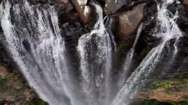 Purling Brook Falls, Springbrook Ulusal Parkı, Queensland, Avustralya, çağlayan çağlayanlar, gelişen yeşil ormanlar ve engebeli, doğal kayalık araziler. Yumuşak sis ve canlı çevre doğanın dinginliğini vurgular