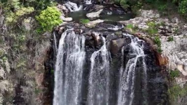 Purling Brook Falls, Springbrook Ulusal Parkı, Queensland, Avustralya, çağlayan çağlayanlar, gelişen yeşil ormanlar ve engebeli, doğal kayalık araziler. Yumuşak sis ve canlı çevre doğanın dinginliğini vurgular