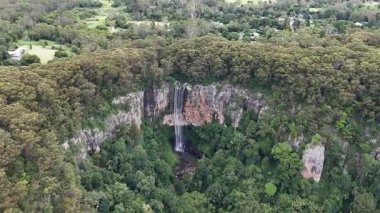 Purling Brook Falls, Springbrook Ulusal Parkı, Queensland, Avustralya, çağlayan çağlayanlar, gelişen yeşil ormanlar ve engebeli, doğal kayalık araziler. Yumuşak sis ve canlı çevre doğanın dinginliğini vurgular
