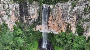 Purling Brook Falls, Springbrook Ulusal Parkı, Queensland, Avustralya, çağlayan çağlayanlar, gelişen yeşil ormanlar ve engebeli, doğal kayalık araziler. Yumuşak sis ve canlı çevre doğanın dinginliğini vurgular