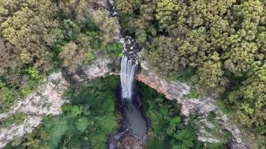 Purling Brook Falls, Springbrook Ulusal Parkı, Queensland, Avustralya, çağlayan çağlayanlar, gelişen yeşil ormanlar ve engebeli, doğal kayalık araziler. Yumuşak sis ve canlı çevre doğanın dinginliğini vurgular