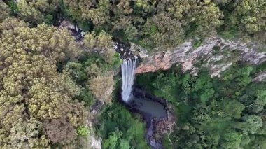 Purling Brook Falls, Springbrook Ulusal Parkı, Queensland, Avustralya, çağlayan çağlayanlar, gelişen yeşil ormanlar ve engebeli, doğal kayalık araziler. Yumuşak sis ve canlı çevre doğanın dinginliğini vurgular