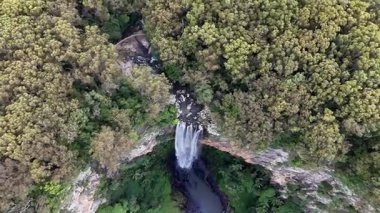 Purling Brook Falls, Springbrook Ulusal Parkı, Queensland, Avustralya, çağlayan çağlayanlar, gelişen yeşil ormanlar ve engebeli, doğal kayalık araziler. Yumuşak sis ve canlı çevre doğanın dinginliğini vurgular