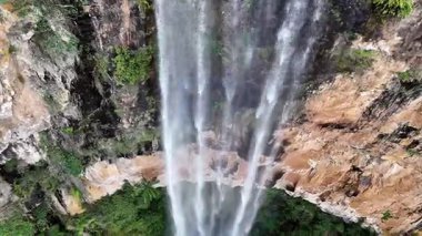 Purling Brook Falls, Springbrook Ulusal Parkı, Queensland, Avustralya, çağlayan çağlayanlar, gelişen yeşil ormanlar ve engebeli, doğal kayalık araziler. Yumuşak sis ve canlı çevre doğanın dinginliğini vurgular