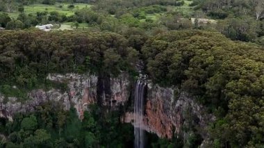 Purling Brook Falls, Springbrook Ulusal Parkı, Queensland, Avustralya, çağlayan çağlayanlar, gelişen yeşil ormanlar ve engebeli, doğal kayalık araziler. Yumuşak sis ve canlı çevre doğanın dinginliğini vurgular