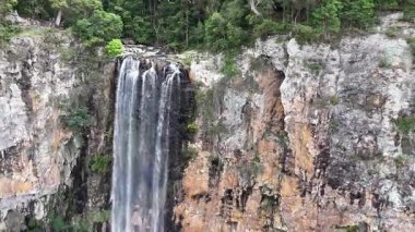 Purling Brook Falls, Springbrook Ulusal Parkı, Queensland, Avustralya, çağlayan çağlayanlar, gelişen yeşil ormanlar ve engebeli, doğal kayalık araziler. Yumuşak sis ve canlı çevre doğanın dinginliğini vurgular