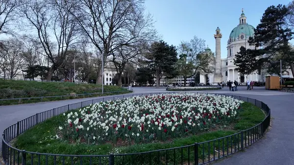 Tarihsel Barok Karlskirche Charles Kilisesi Avusturya 'nın Viyana kentindeki Karlsplatz' da bir Şehir Meydanı 'nda