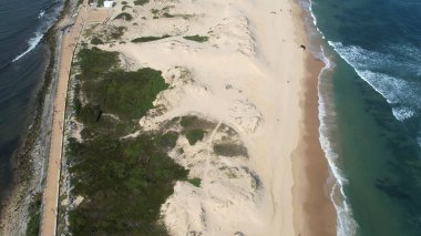 Newcastle Nobbys Plajı NSW Avustralya Sahil Sahili ve Okyanus Mavi Gök ve Yuvarlanan Dalgalar Altında